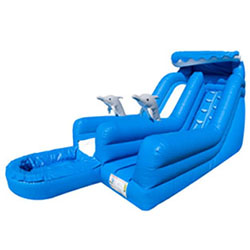 Dolphin Splash Waterslide 